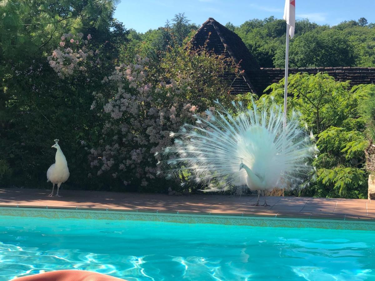 Le Noyer Residence B&B Le Bugue Bagian luar foto